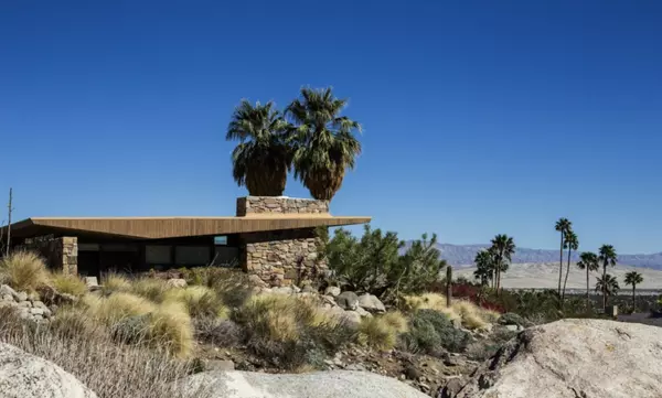 Design in the Desert,Lindsey Shook