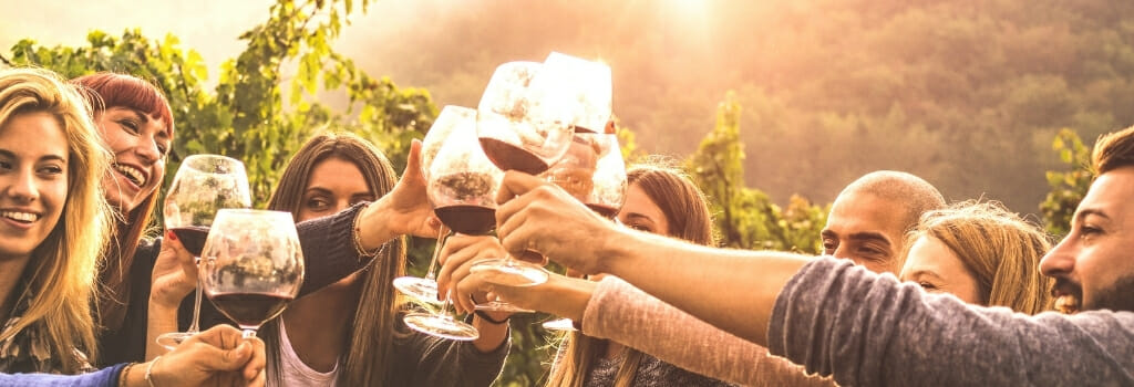 Group of young people toasting wine glasses during wine tasting