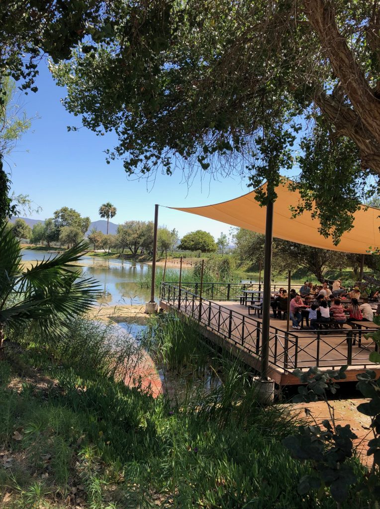 Covered deck in front of lake, surrounded by trees at Monte Xanic Bodega - Winery in Guadeloupe Valley Mexico