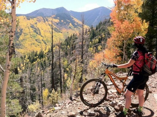 mountain biker on a mountain bike path through a mountainous forest during fall