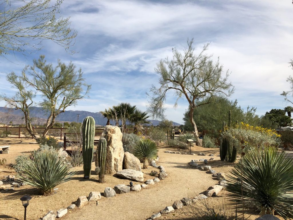 Desert garden with desert flowers and cacti at Borrego Springs Visitor Center