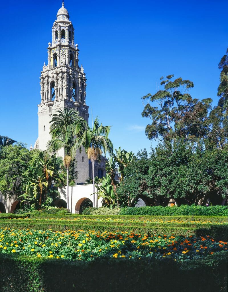 California tower towering over the pond and foliage of Balboa Park