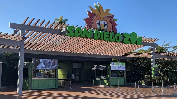 Top San Diego Zoo Tips – From A Former Zoo Employee,Hedge Metreyeon