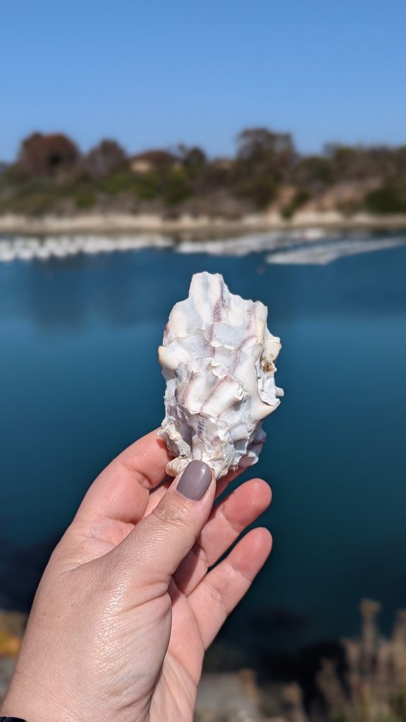 Woman holding oyster shell in front of water on sunny day. Carlsbad Aquafarms.