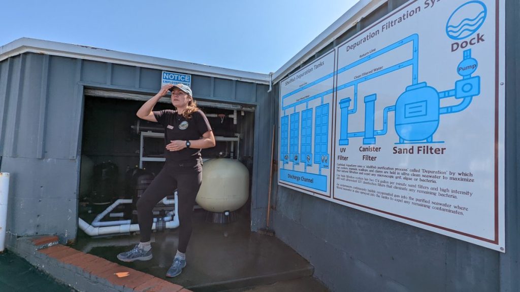 Employee giving demonstration explaining oyster filtration system. Carlsbad Aquafarms.