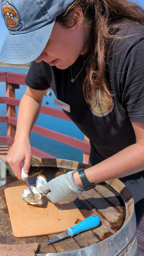 Woman cutting oyster shell outside on sunny day. Carlsbad Aquafarms.