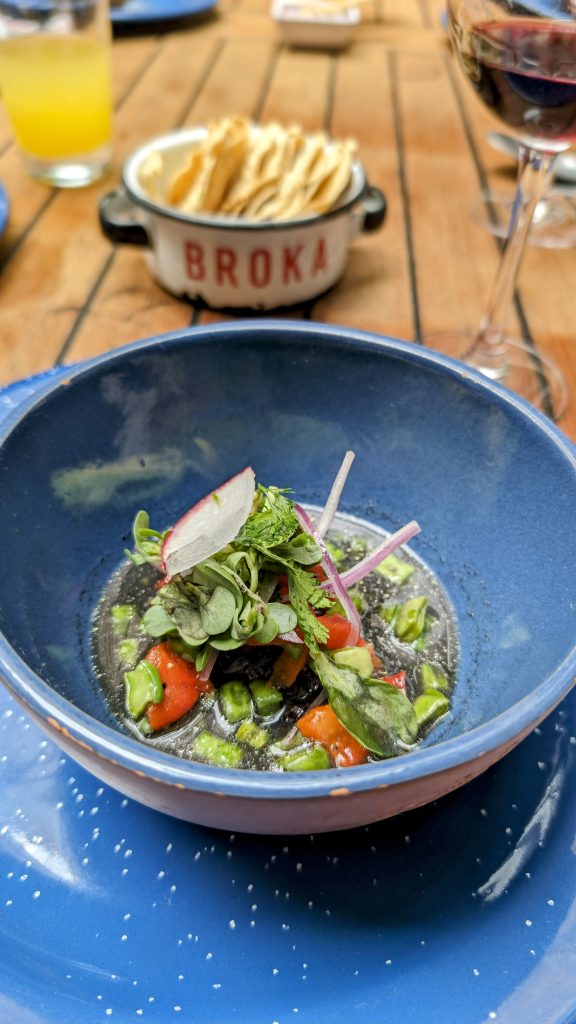 Fresh ceviche with nopales in a blue bowl - food tour in Mexico City