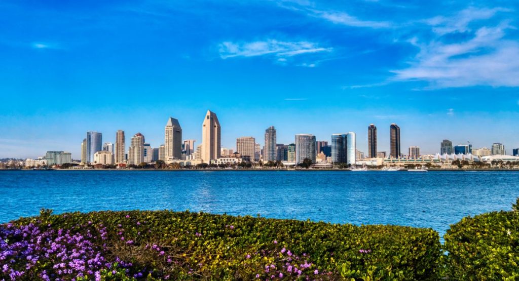 San Diego skyline in background with San Diego Bay and purple flowers in foreground on sunny day. May in San Diego.