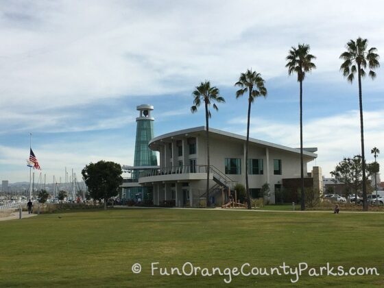 palm trees and Lighthouse restaurant