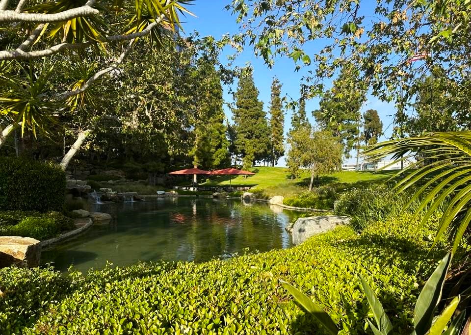 Pond at entrance to Red O. Photo by Noreen Kompanik