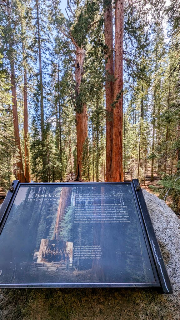 General Sherman Tree Sequoia National Park