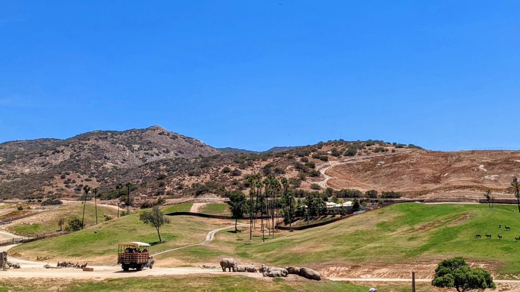 Views over African Plains - San Diego Safari Park