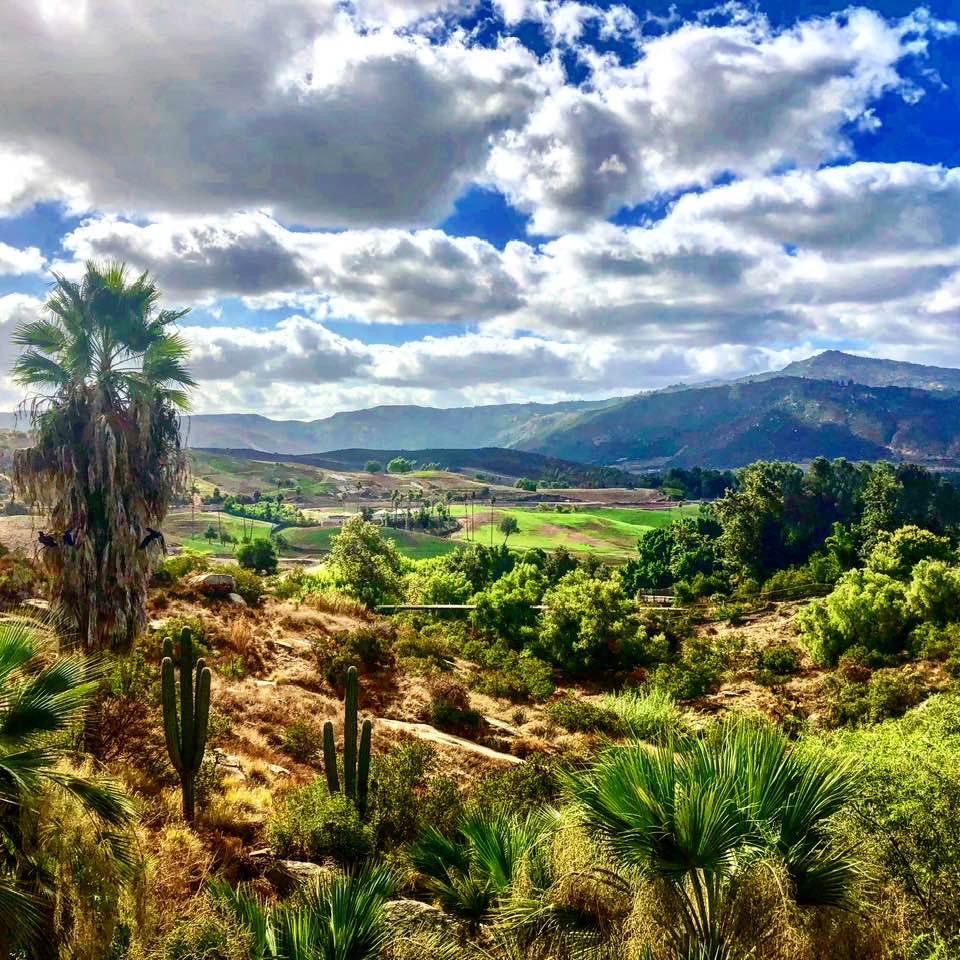 Stunning views from the Watering Hole at Kijamii Overlook