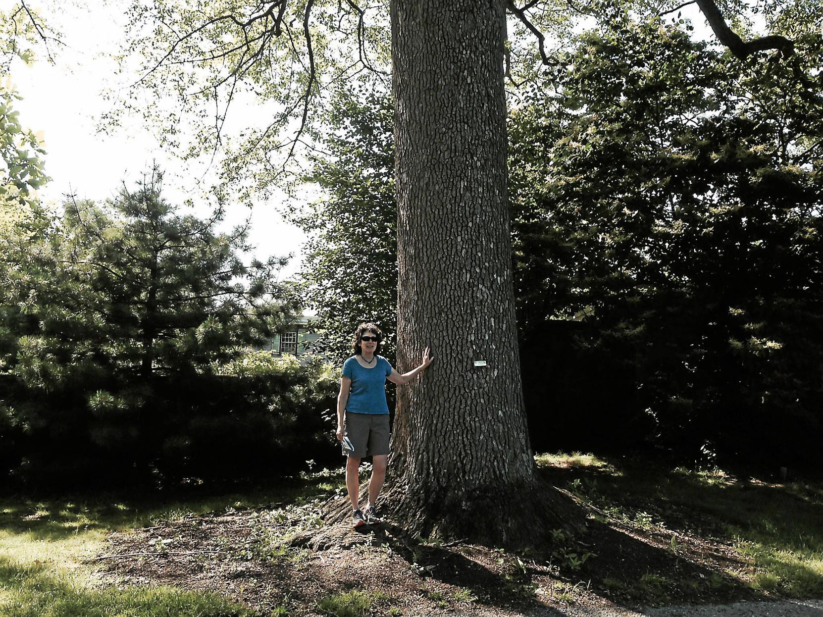 Pam Baxter stands beside a Black Gum tree at the Rockford Museum in Wilmington, Del.