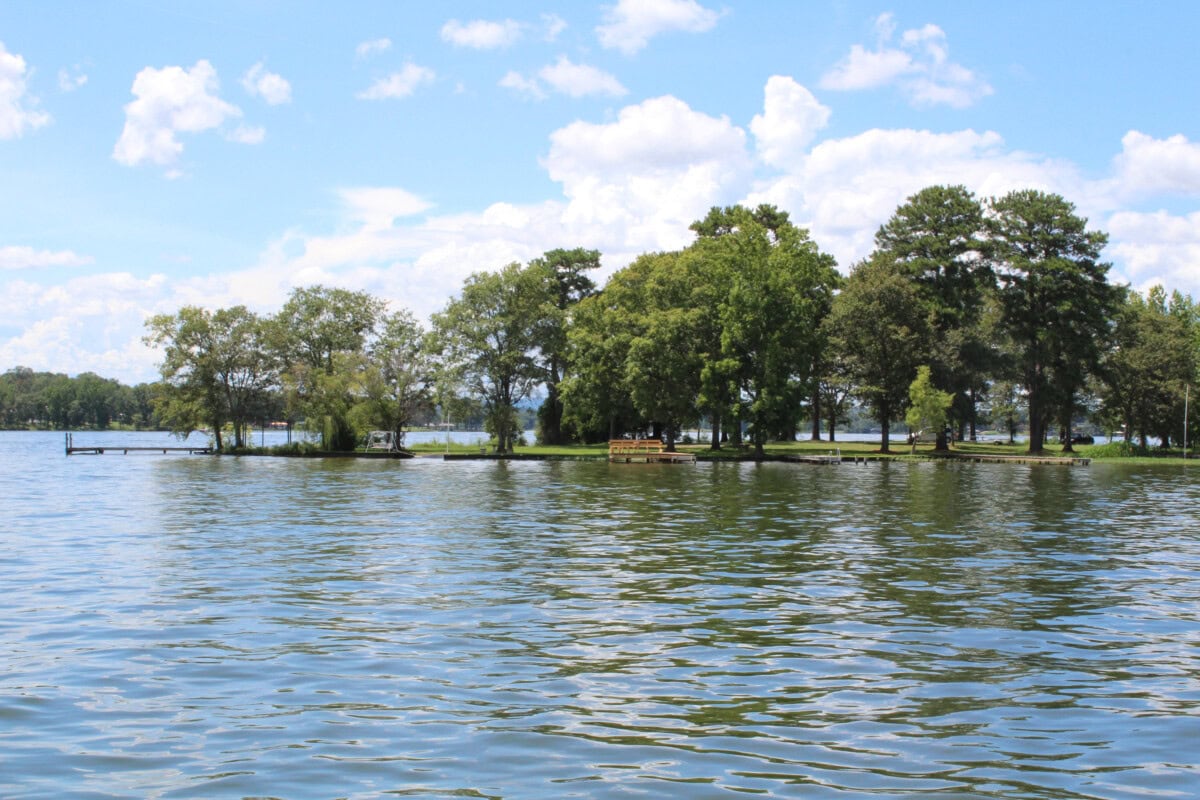 logan martin lake with trees on the shoreline