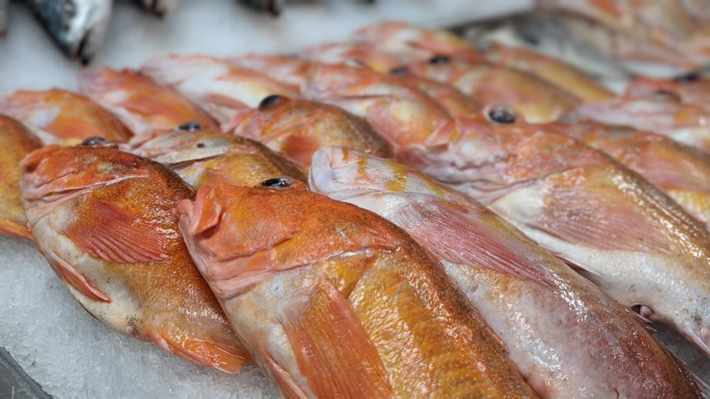 Close up of pink/orange fish in fish market