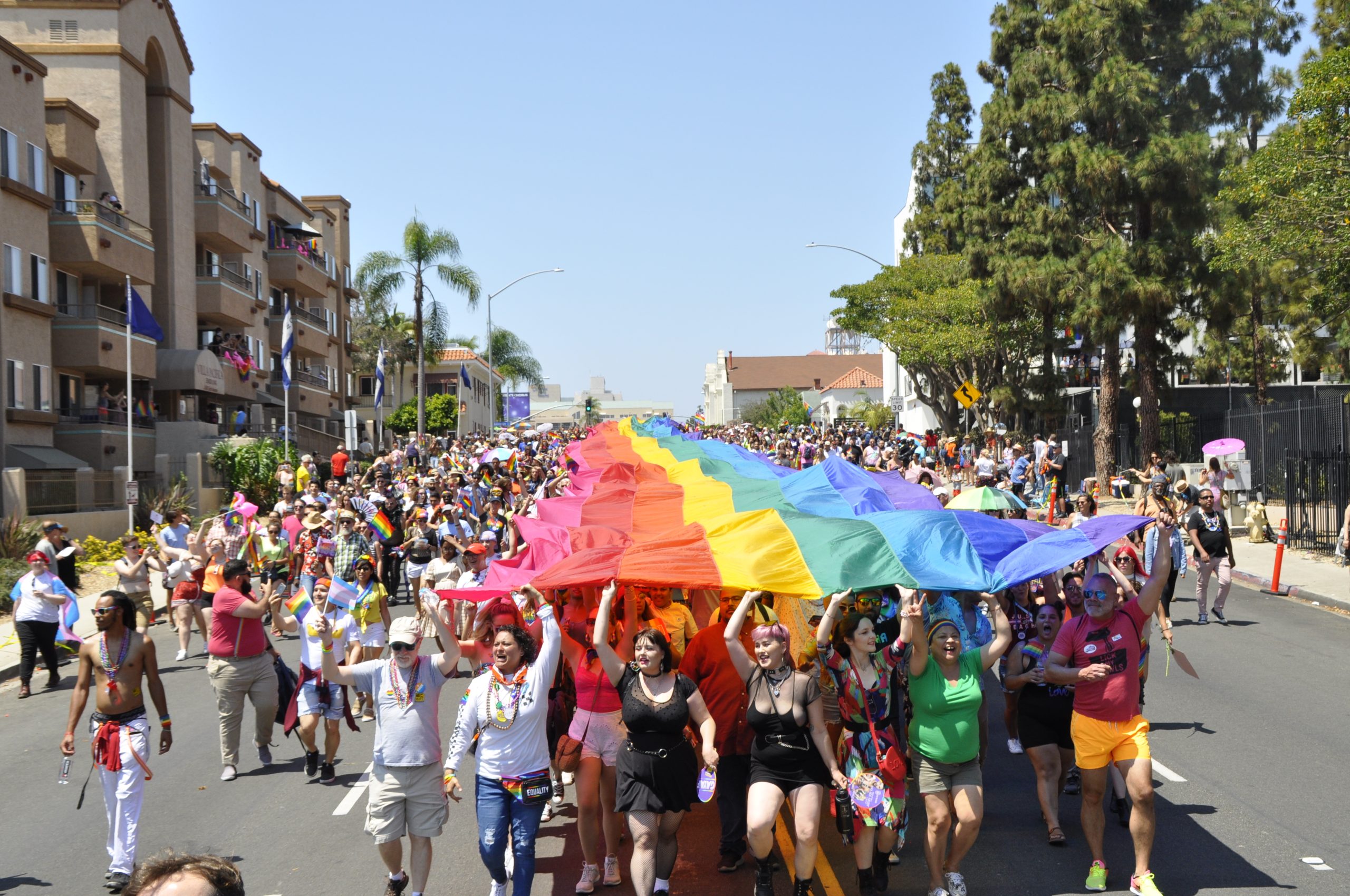 2019 giant flag