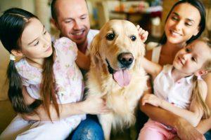 Pet-Friendly Features That Help Homes Sell Faster,Elizabeth Byrne