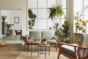 Houseplants That Can Survive Weeks Without Water,Elizabeth Byrne