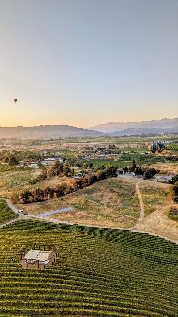 view over vineyards during Hot Air Balloon Temecula Ride at sunrise