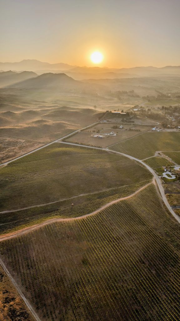 view over vineyards during Hot Air Balloon Temecula Ride at sunrise