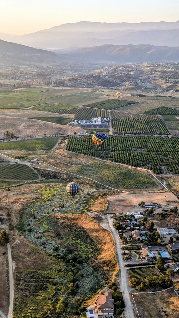 view over vineyards during Hot Air Balloon Temecula Ride with 3 hot air balloons belowat sunrise