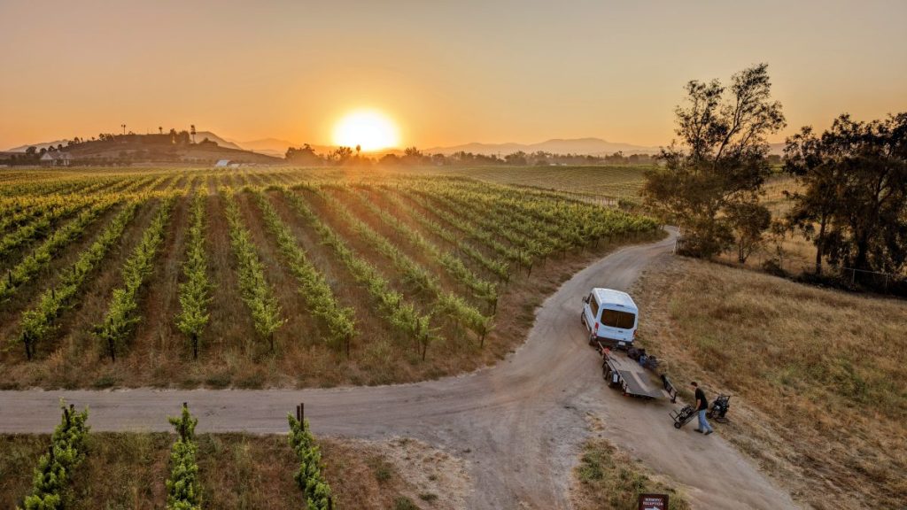 view over vineyards during Hot Air Balloon Temecula Ride at sunrise