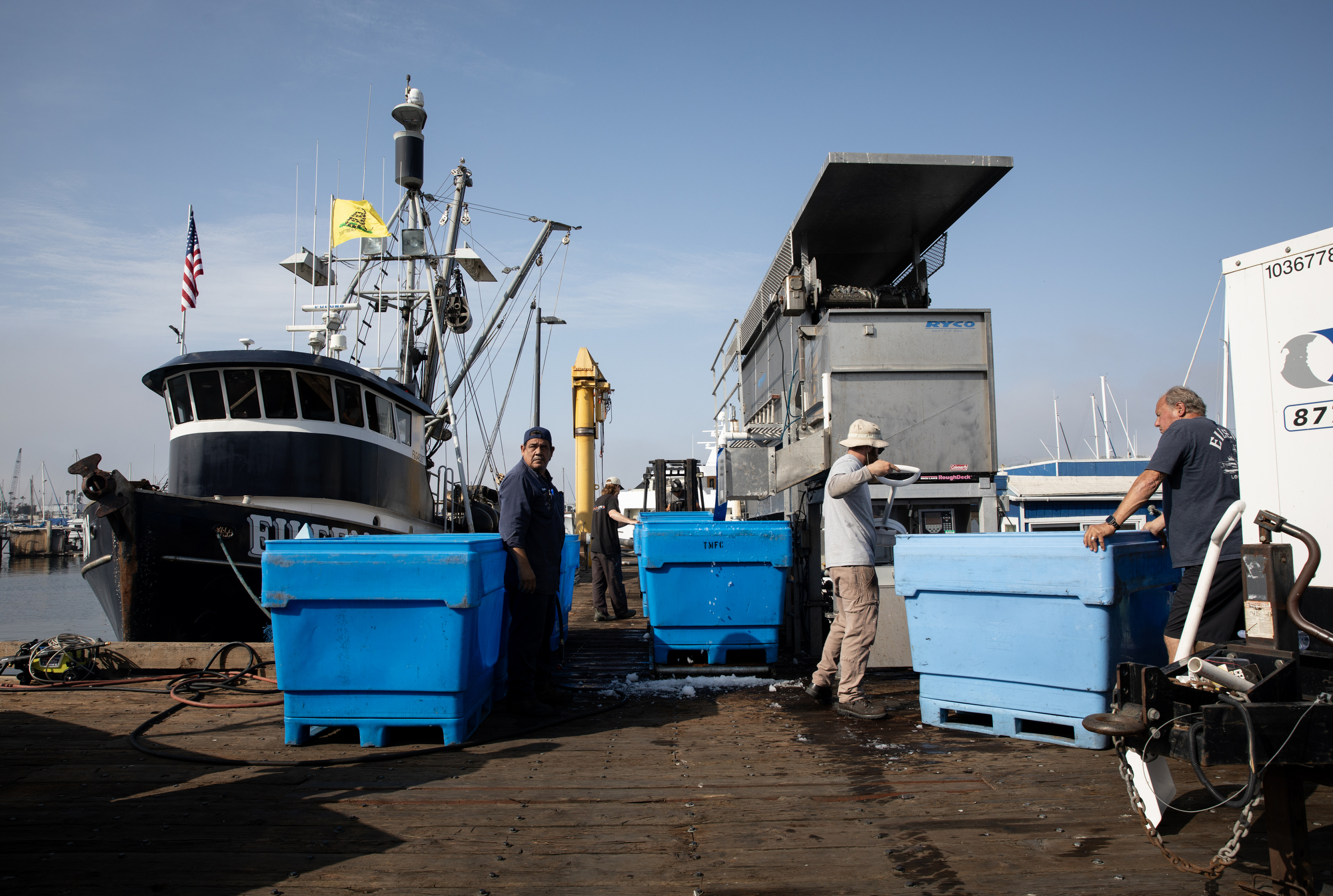 Squid is offloaded on Tuesday, Aug. 6, 2024 at Driscoll's Wharf. The marina's offloading dock, which is still in good condition, was upgraded a decade ago thanks to a state grant. (Ana Ramirez / The San Diego Union-Tribune)