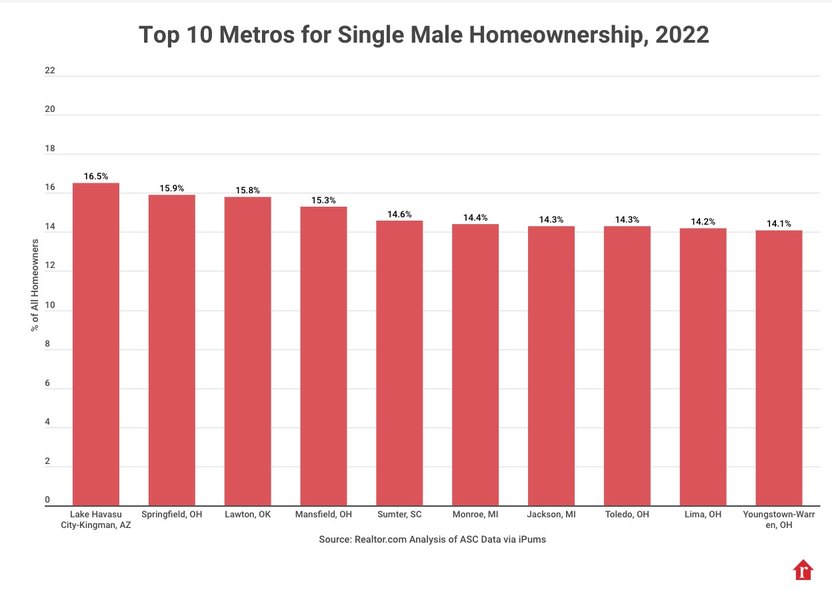 SINKs who buy houses