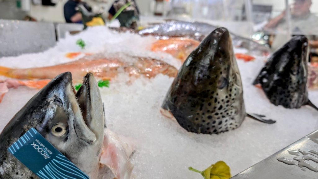 salmon heads and fish filets at San Diego Fish Market Catalina OP