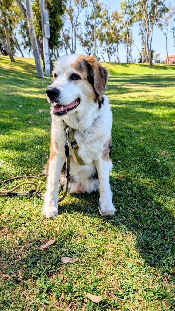 Robby at Wilson Park Torrance