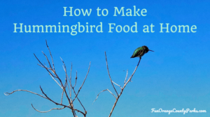 How to Make Hummingbird Food at Home