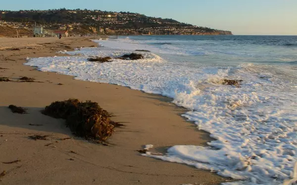 Getaway to Torrance: A Relaxing, Non-Touristy &#038; Dog-Friendly Escape,Maria Haase