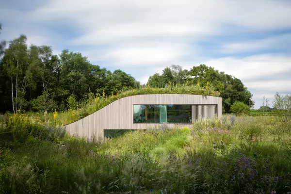 This House Is Truly ‘One with Nature’,Katie Barton