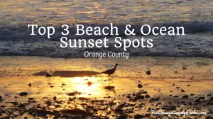 3 Spots for OC Beach and Ocean Sunsets,Michele Whiteaker