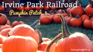 2024 Pumpkin Patch at Irvine Park Railroad,Lisa - Volunteer Park Reporter