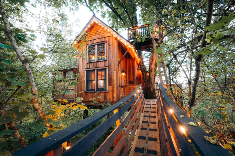 Go on a magical retreat with The Emerald Forest