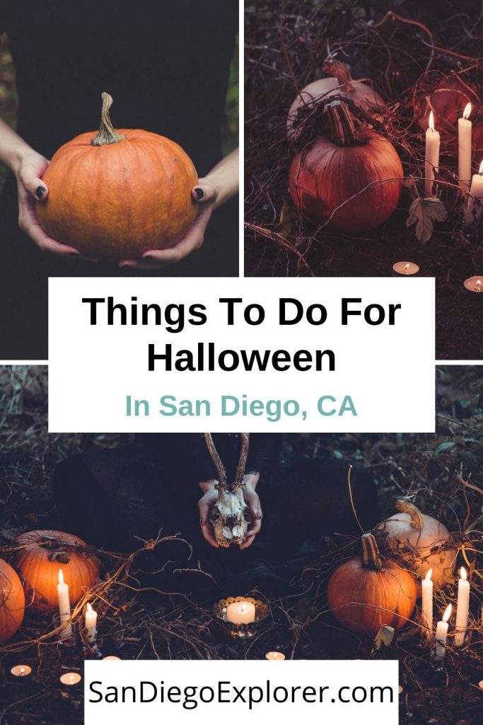 Read this to discover all of the amazing things to do on Halloween San Diego has to offer. Whether you want to be scared, intrigued, or relaxed, there's a spooky activity for everyone in San Diego on Halloween! San Diego Halloween - Halloween in San Diego - Things to do in San Diego Halloween - San Diego in October #sandiegoexplorer #halloweensandiego #SoCal #HalloweenSanDiego #sandiego #sandiegocalifornia #sandiegoca #halloween #october #fallinsandiego #sandiegotrip #sandiegothingstodo