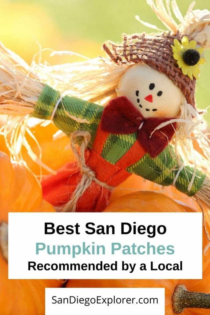 Ready for fall? Here are the best San Diego Pumpkin Patches that will put you in the fall spirit. Take a look at these fun pumpkin farms in San Diego county and all the fun activities they offer. From hayrides to pumpkin carving, corn mazes and apple cannons, a trip to a pumpkin patch in San Diego is fun for the whole family. San Diego with kids - San Diego pumpkin patch - San Diego fall activities - San Diego October - San Diego Things to do - San Diego itinerary - San Diego travel tips