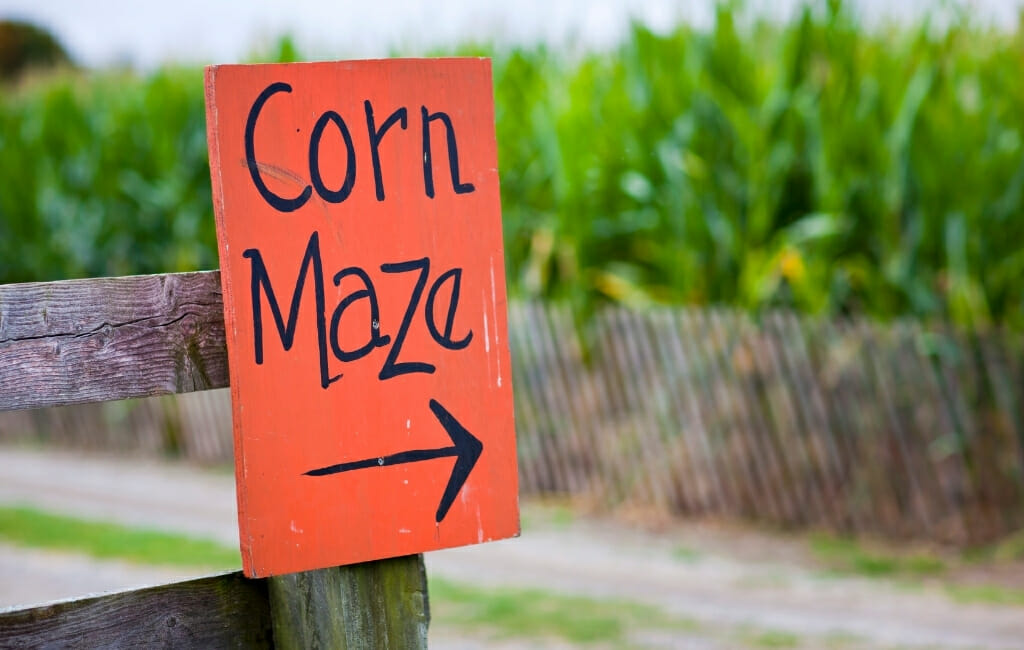 Red sign reading corn maze with arrow pointing to a corn maze in the background