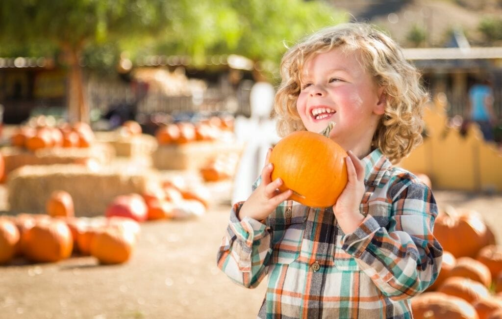 Little blond by holding pumpkin in the front with pumpkin patch in the background