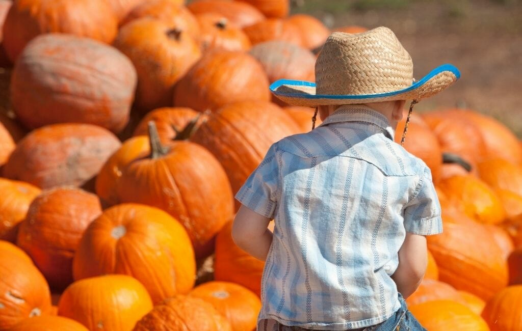 little boy with cowboy hat in front of a mountain of pumpkins