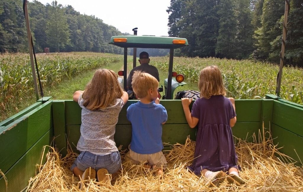 3 small kids on a tractor hay ride through a field