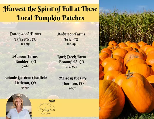 Explore the Best Local Pumpkin Patches This Fall in Colorado