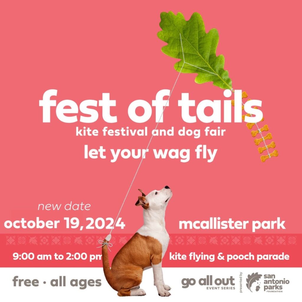 Fun Fall Happenings