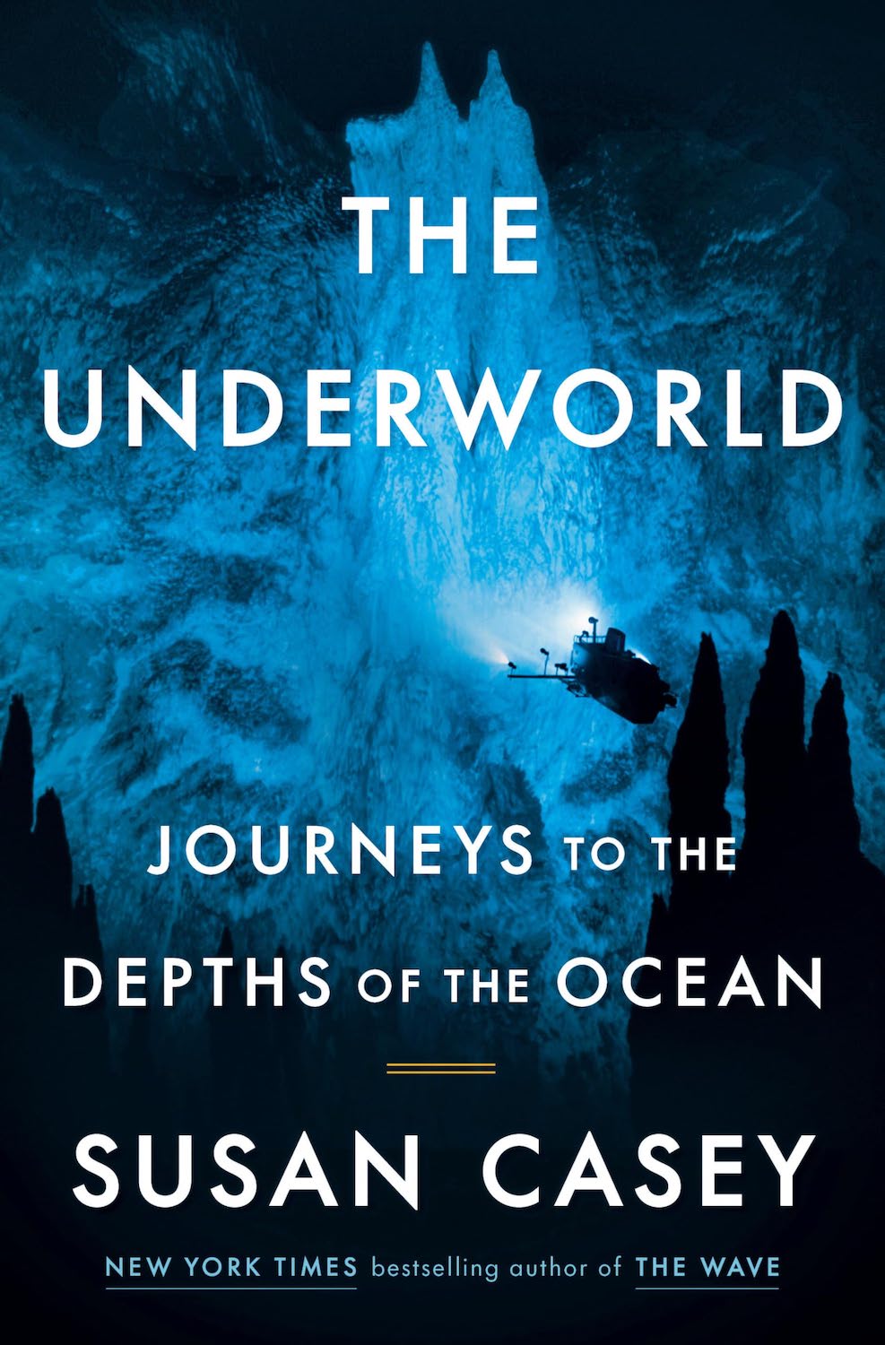 San Diego gifts to buy this holiday season featuring The Underworld: Journeys to the Depths of the Ocean book from Penguin Random House