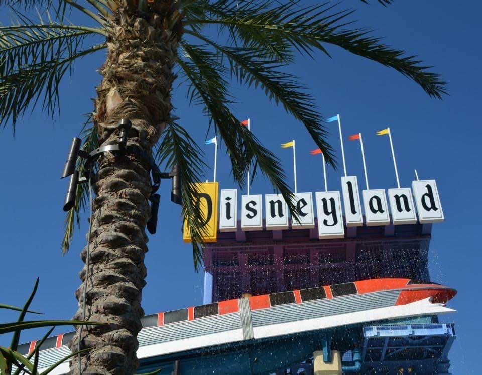 Disneyland signs with palm trees