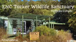 Tucker Wildlife Sanctuary and Birdwatching,Michele Whiteaker