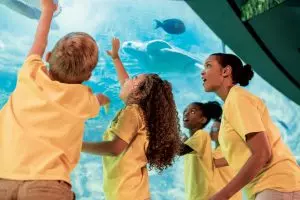 feature image of SeaWorld offers youth education programming and STEM Day