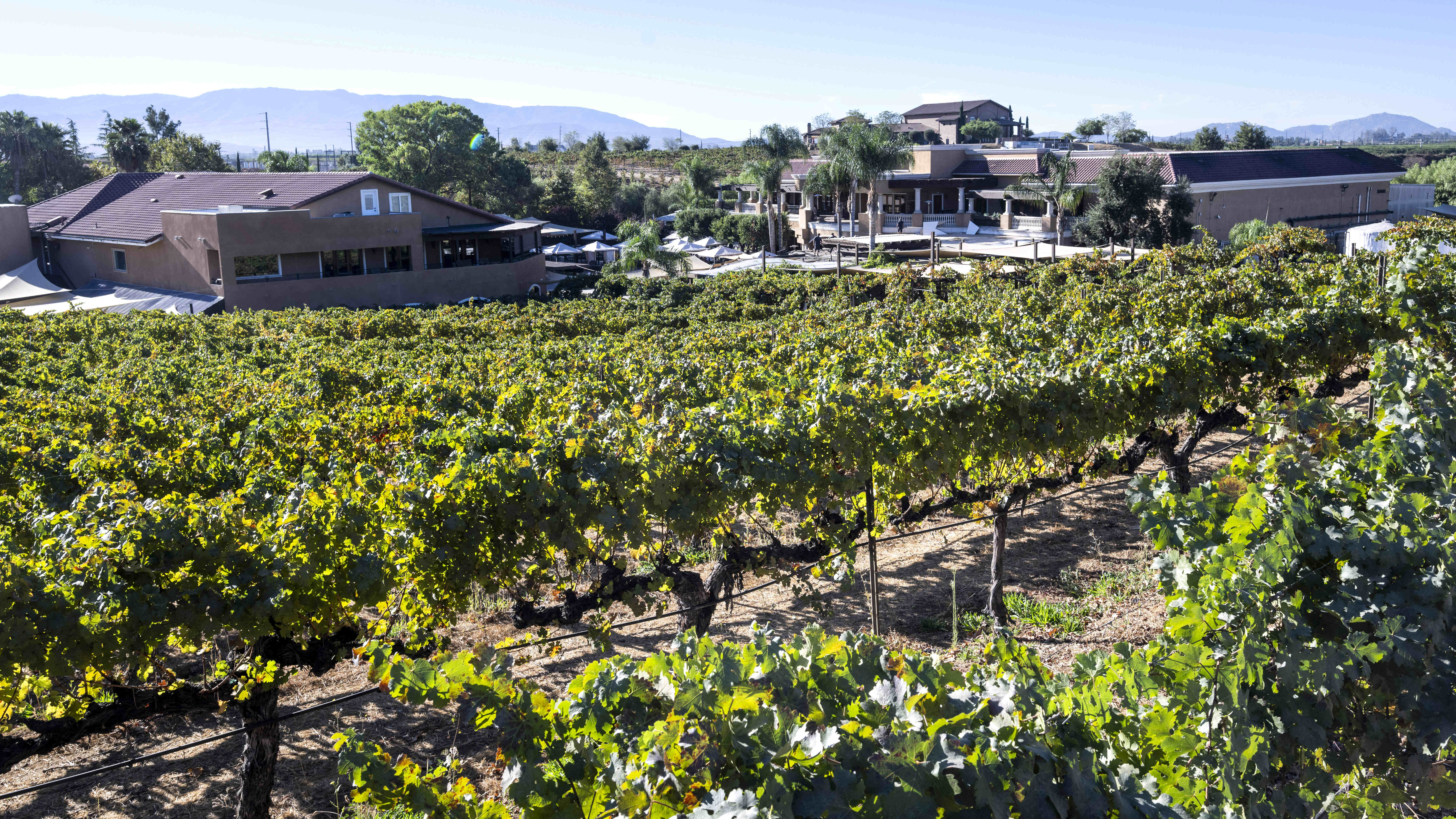Wilson Creek Winery in Temecula, CA on Wednesday, Oct. 23,...